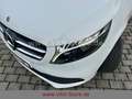Mercedes-Benz V 300 AVA/NIGHT/MBUX/360°/BUR/LIEGPKT/TEMP/AHK Bianco - thumbnail 18