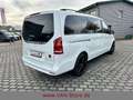Mercedes-Benz V 300 AVA/NIGHT/MBUX/360°/BUR/LIEGPKT/TEMP/AHK Bianco - thumbnail 6