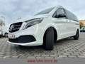 Mercedes-Benz V 300 AVA/NIGHT/MBUX/360°/BUR/LIEGPKT/TEMP/AHK Bianco - thumbnail 10