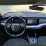 Skoda Octavia Octavia Wagon 2.0 tdi evo Executive 150cv dsg Alb - thumbnail 7