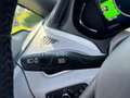 Opel Ampera-E Business 60 kWh | Navigatie via App | Camera | Cli Wit - thumbnail 22