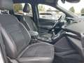 Ford Kuga ST-Line 4x4 Assistenzsysteme Weiß - thumbnail 14