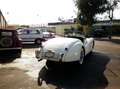 Jaguar XK Blanco - thumbnail 8
