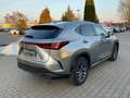 Lexus NX 350h Executive Line ACC+LED+Pano+SD+SHZ Silber - thumbnail 6