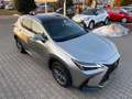 Lexus NX 350h Executive Line ACC+LED+Pano+SD+SHZ Silber - thumbnail 9