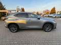 Lexus NX 350h Executive Line ACC+LED+Pano+SD+SHZ Silber - thumbnail 7