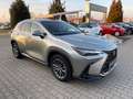 Lexus NX 350h Executive Line ACC+LED+Pano+SD+SHZ Silber - thumbnail 8