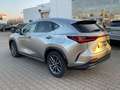 Lexus NX 350h Executive Line ACC+LED+Pano+SD+SHZ Silber - thumbnail 4