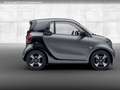 smart forFour EQ 60kWed passion SHZ PDC Dig Radio Tempom Grau - thumbnail 20