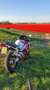 Honda CBR 900 Wit - thumbnail 4