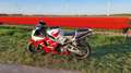 Honda CBR 900 Wit - thumbnail 2