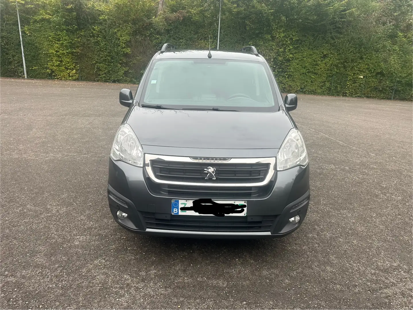 Peugeot Partner Partner Tepee 1.6 BlueHDi Active S Gris - 1