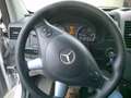 Mercedes-Benz Sprinter 313 2.2 CDI 366 EHD Business Professional Plus VOO Weiß - thumbnail 10
