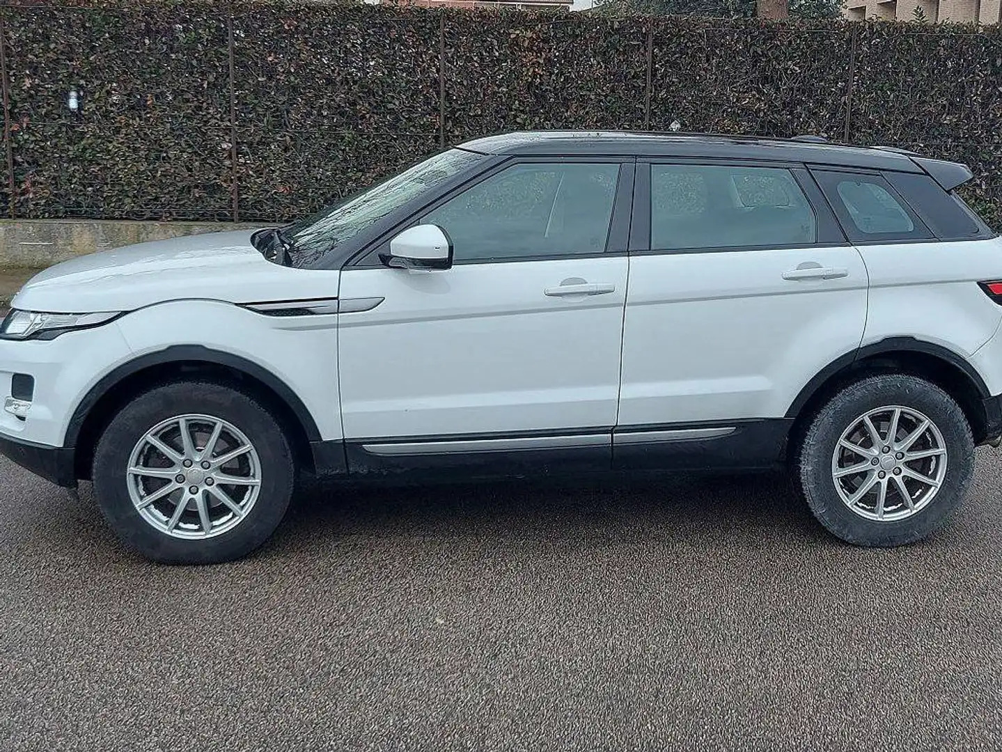 Land Rover Range Rover Evoque Range+Rover+Evoque+5p+2.2+td4+Pure+150cv+auto+9m Bianco - 1
