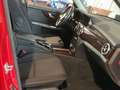 Mercedes-Benz GLK 200 CDI *Bi-Xenon*MB-Scheckheft*Unfallfrei* Rood - thumbnail 11