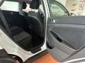 Hyundai TUCSON 1.6CRDI 48V SLE 4x2 Blanco - thumbnail 19