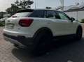 Audi Q2 Q2 1.6TDI Design edition S tronic 85kW Design edition Blanco - thumbnail 6
