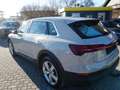 Audi e-tron 50 quattro *TOPAUSSTATTUNG* Beige - thumbnail 5