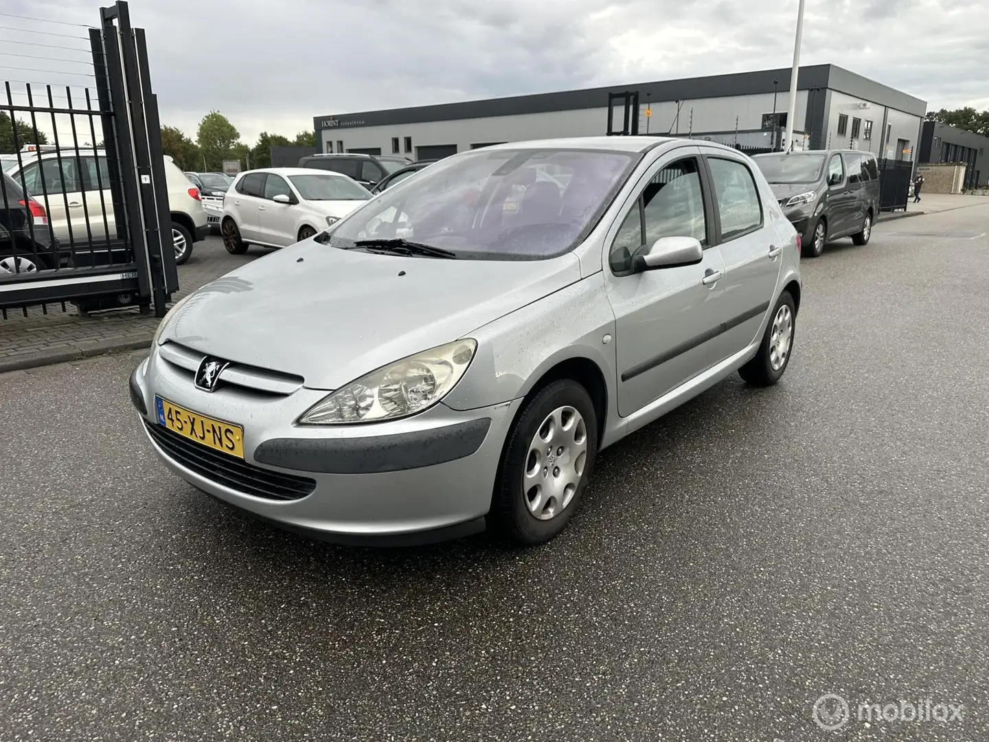 Peugeot 307 1.6-16V Griffe Grijs - 1