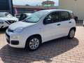 Fiat Panda Panda 1.2 Pop 5p. radio originale Blanc - thumbnail 3
