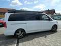 Mercedes-Benz V 250 V -Klasse Marco Polo 250 d EDITION 4MATIC Wit - thumbnail 3