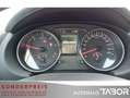 Nissan Qashqai 1.6 dCi 360 4x2 LM AHK Pano Kamera Klima - thumbnail 5