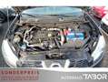 Nissan Qashqai 1.6 dCi 360 4x2 LM AHK Pano Kamera Klima - thumbnail 10