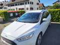 Ford Focus Focus Traveller Trend ECOnetic 1,6 TDCi Trend Weiß - thumbnail 8