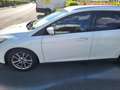 Ford Focus Focus Traveller Trend ECOnetic 1,6 TDCi Trend Weiß - thumbnail 5