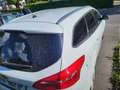Ford Focus Focus Traveller Trend ECOnetic 1,6 TDCi Trend Weiß - thumbnail 4