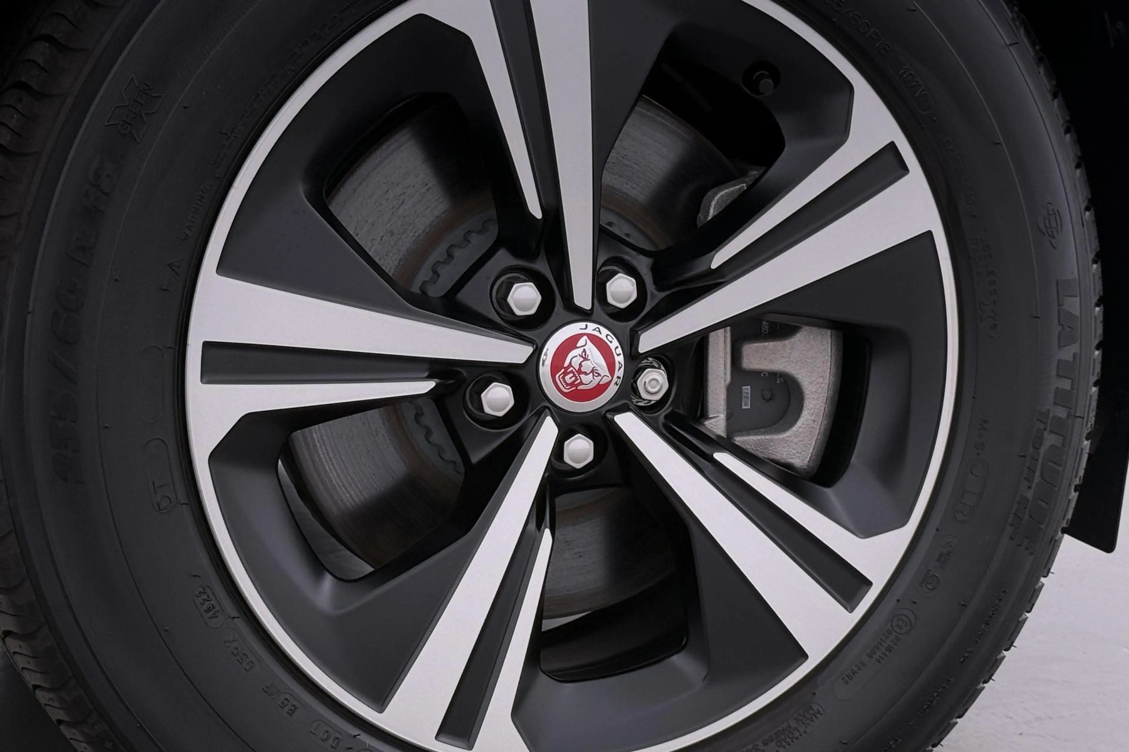 Jaguar E-Pace P300e AWD R-Dynamic S | ACC | Panoramadak | Memory — photo 18