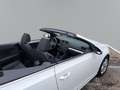 Volkswagen Golf Cabriolet 1,4 TSI Klima SHZ Temp PDCv+h Aluräder Blanc - thumbnail 11