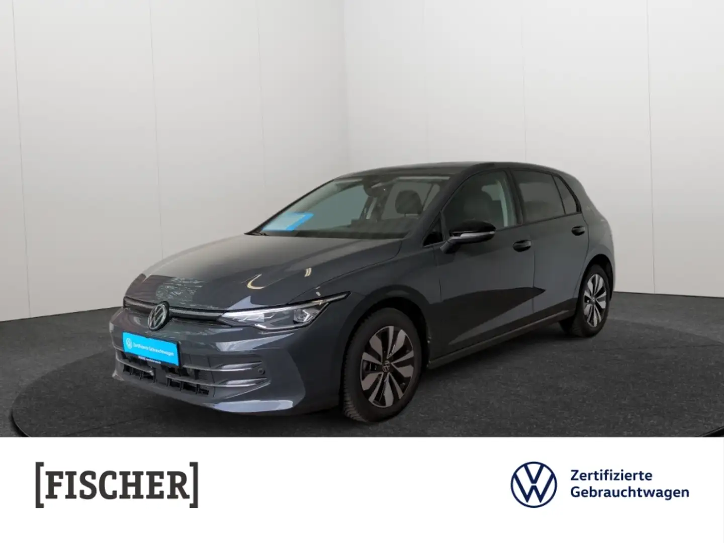 Volkswagen Golf VIII 2.0TDI DSG Goal LED Navi Rear View SHZ Grau - 1