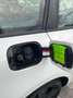 Skoda Octavia 1.4 TSI Wagon Style G-Tec Wit - thumbnail 11