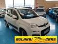 Fiat Panda 1.2 Easy Blanco - thumbnail 2