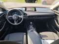 Mazda CX-30 e-Skyactive G140 Homura Aut. Rot - thumbnail 9
