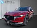 Mazda CX-30 e-Skyactive G140 Homura Aut. Rot - thumbnail 1