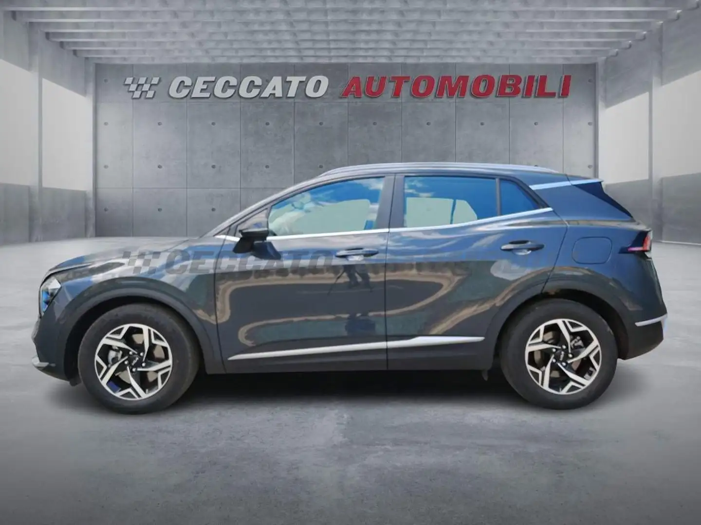 Kia Sportage Sportage 1.6 crdi mhev Business dct - 2