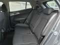 Kia Sportage Sportage 1.6 crdi mhev Business dct - thumbnail 14