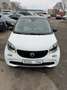 smart forFour passion 12 Monaten Garantie Alb - thumbnail 3