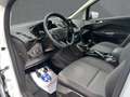 Ford Grand C-Max Grand C-MAX Titanium ZAHNRIEM NEU/PDC/TEMP./2H. Blanc - thumbnail 15