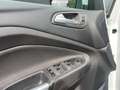 Ford Grand C-Max Grand C-MAX Titanium ZAHNRIEM NEU/PDC/TEMP./2H. Blanc - thumbnail 17