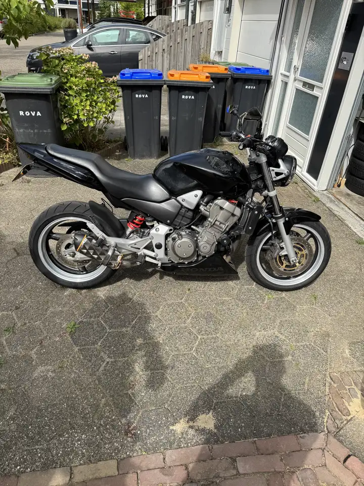 Honda Hornet
