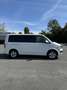Volkswagen T6 Multivan Multivan *Generation Six* DSG Weiß - thumbnail 3