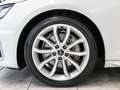 Audi A4 Avant 40 TFSI quattro S line AHK Matrix Kamera Bianco - thumbnail 13