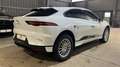 Jaguar I-Pace S*EV 320*AWD*HeadUp* Weiß - thumbnail 14