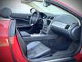 Jaguar XK 4.2 V8 Convertible / 1 OWNER / SALSA RED / XK SPEC Rot - thumbnail 36