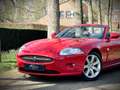 Jaguar XK 4.2 V8 Convertible / 1 OWNER / SALSA RED / XK SPEC Rot - thumbnail 3