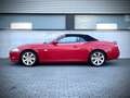 Jaguar XK 4.2 V8 Convertible / 1 OWNER / SALSA RED / XK SPEC Rot - thumbnail 15