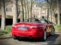 Jaguar XK 4.2 V8 Convertible / 1 OWNER / SALSA RED / XK SPEC Rot - thumbnail 2